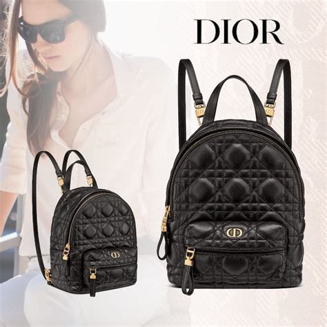 dior jug|dior backpacks.